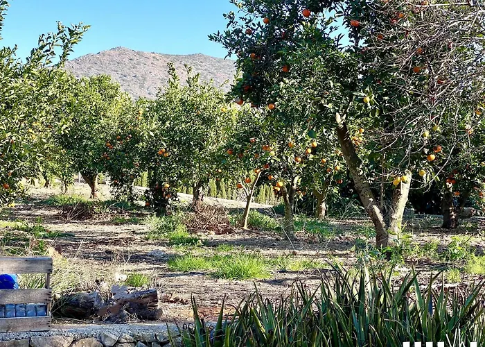 Vh Costa Blanca - Casa Blanca Villa Denia