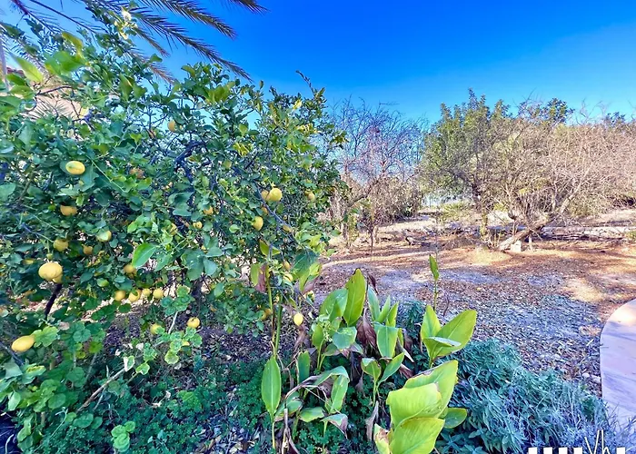 Vh Costa Blanca - Casa Blanca *